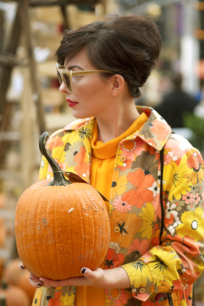 google photos pumpkin patch