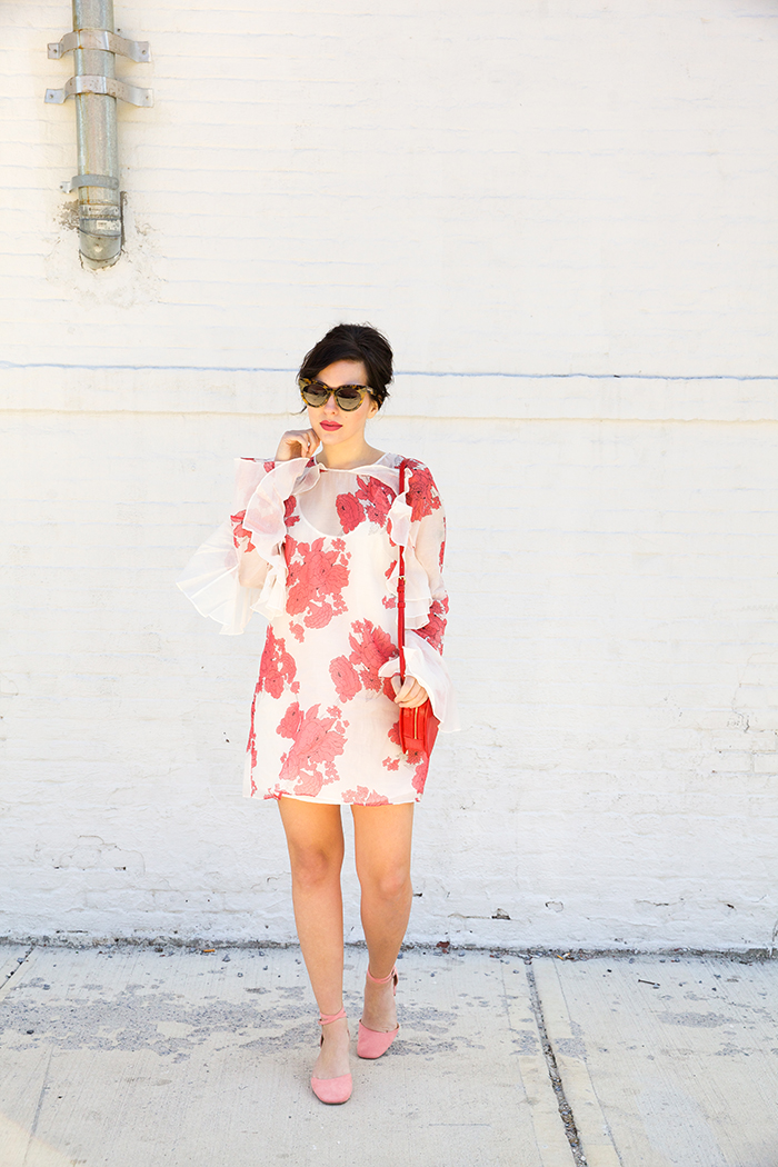 Evelyn Bourdon x bloglovin shop