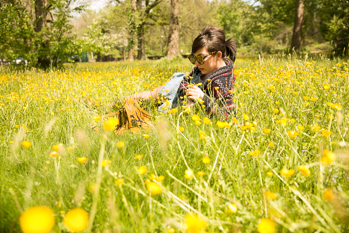 flower field-1