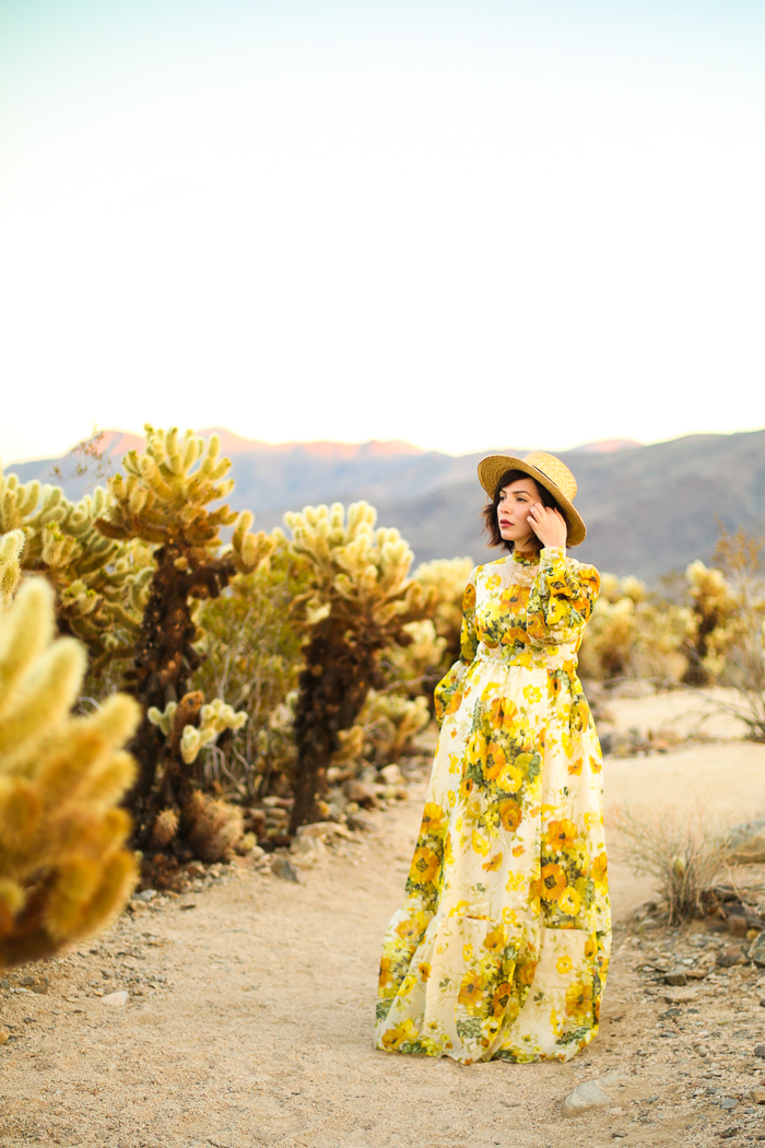 Evelyn Bourdon at Joshua Tree Cholla Cactus Garden