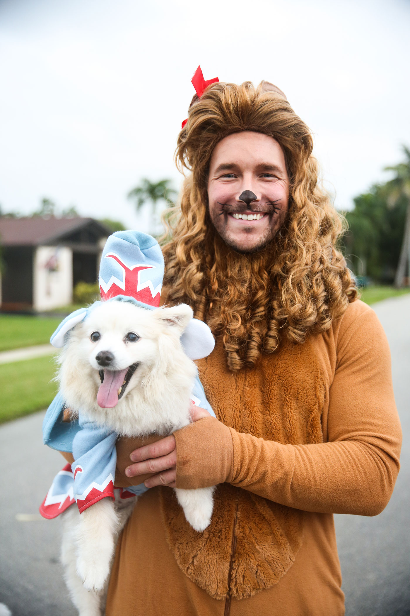 Flying Monkey and Cowardly Lion costumes, wizard of oz