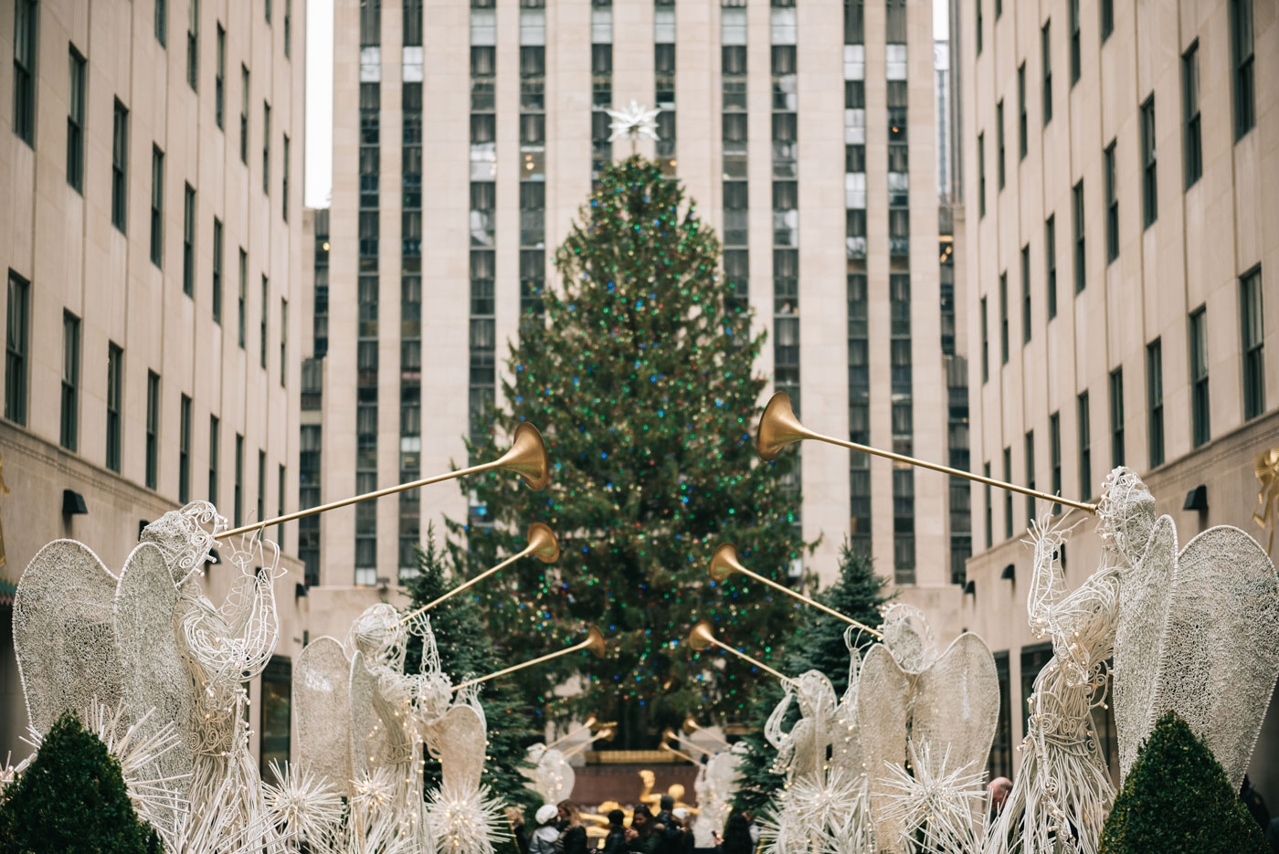 rockefeller christmas tree 2016