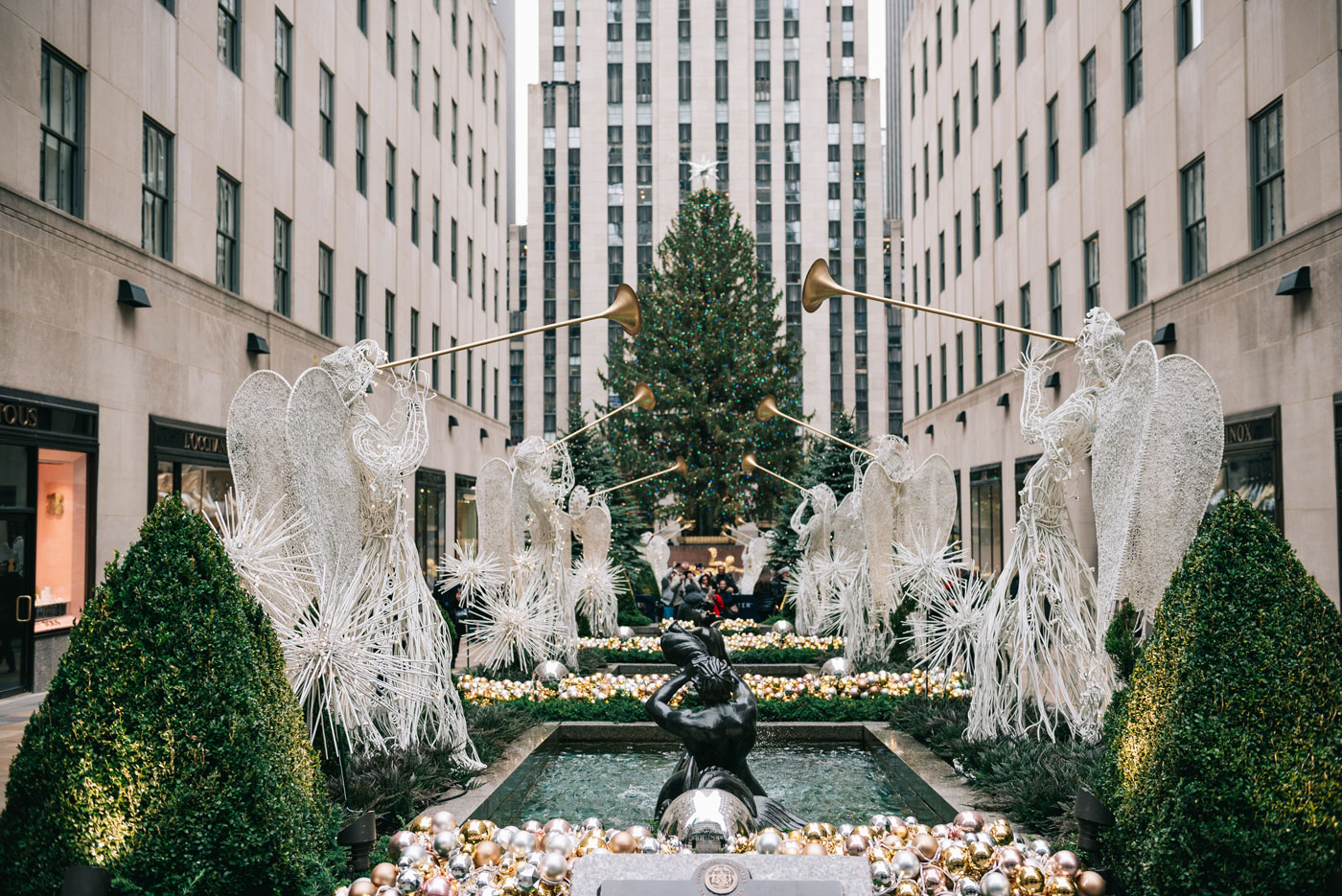 rockefeller christmas tree 2016