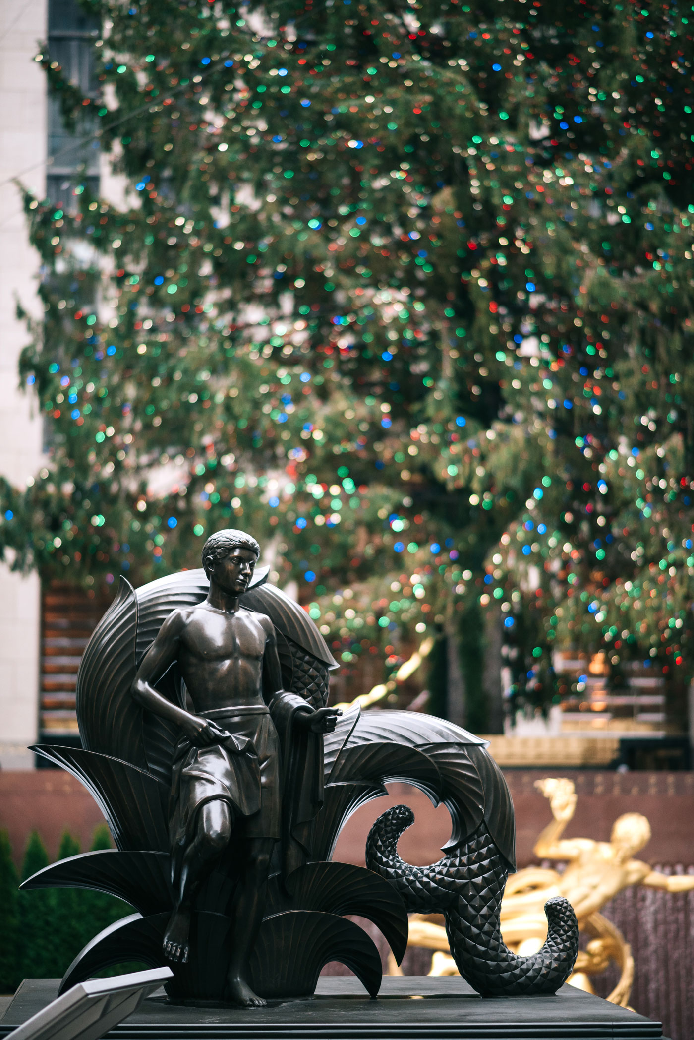 rockefeller christmas tree 2016