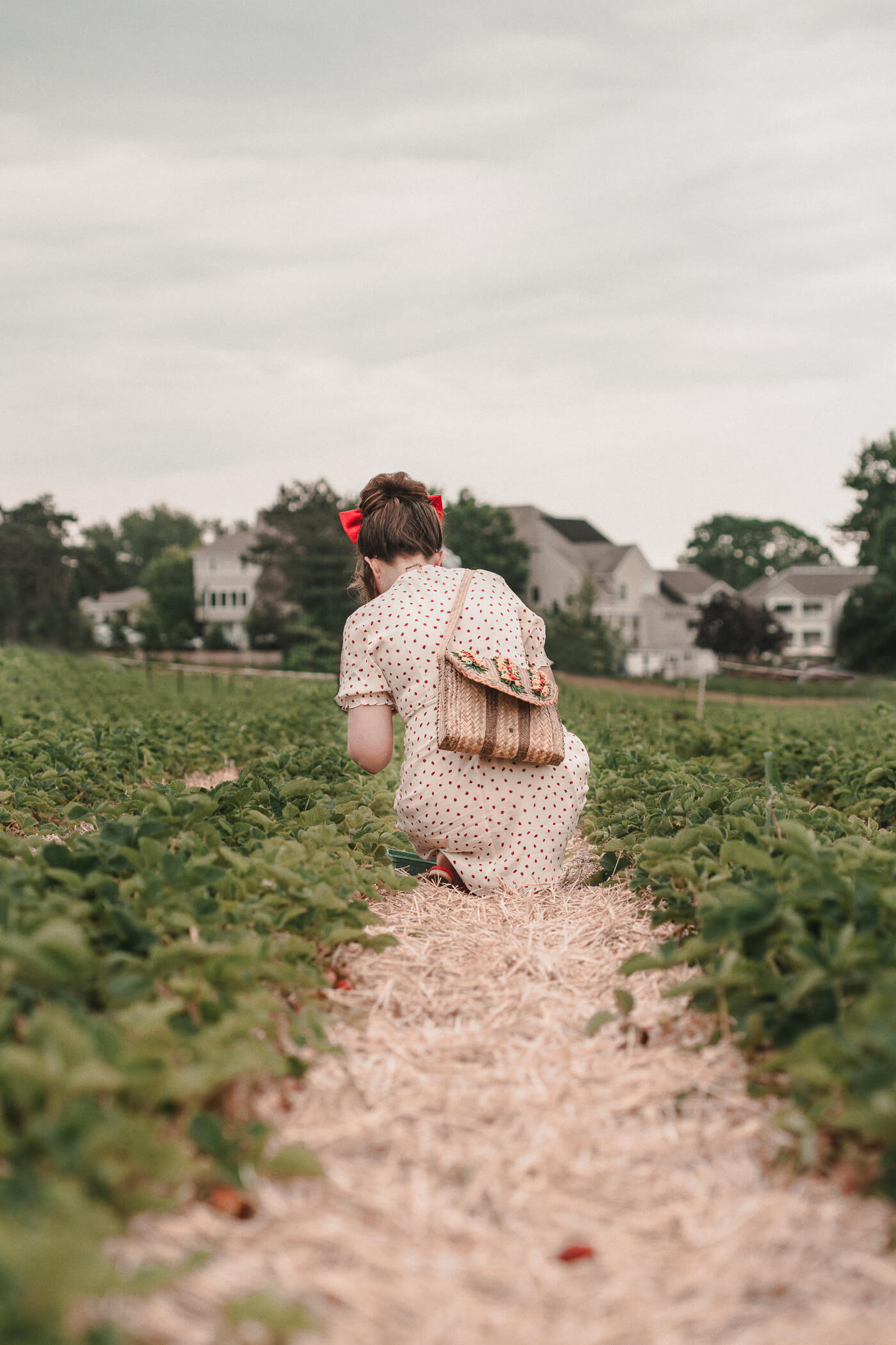 strawberry dress