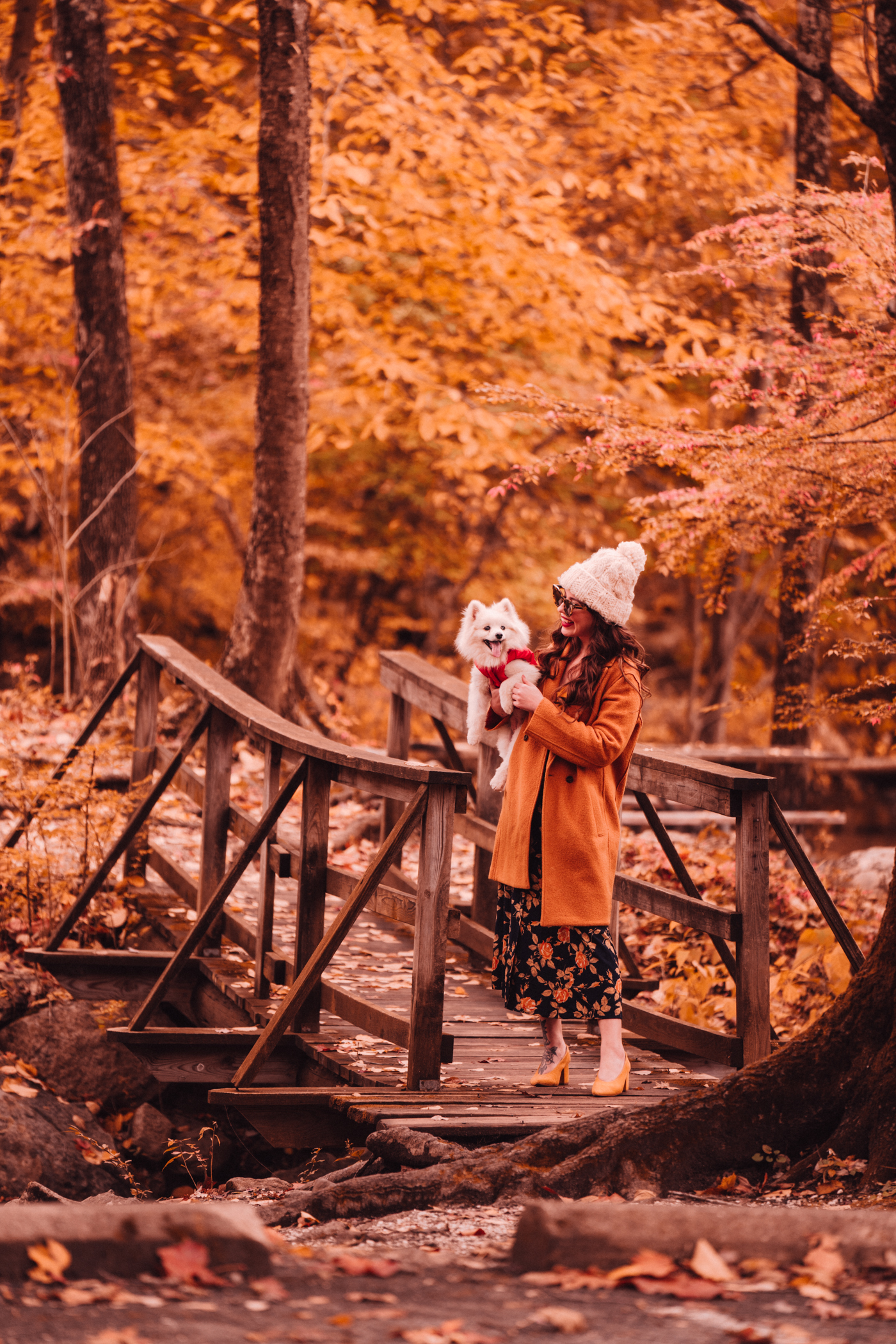 woman on the bridge carrying her dog 