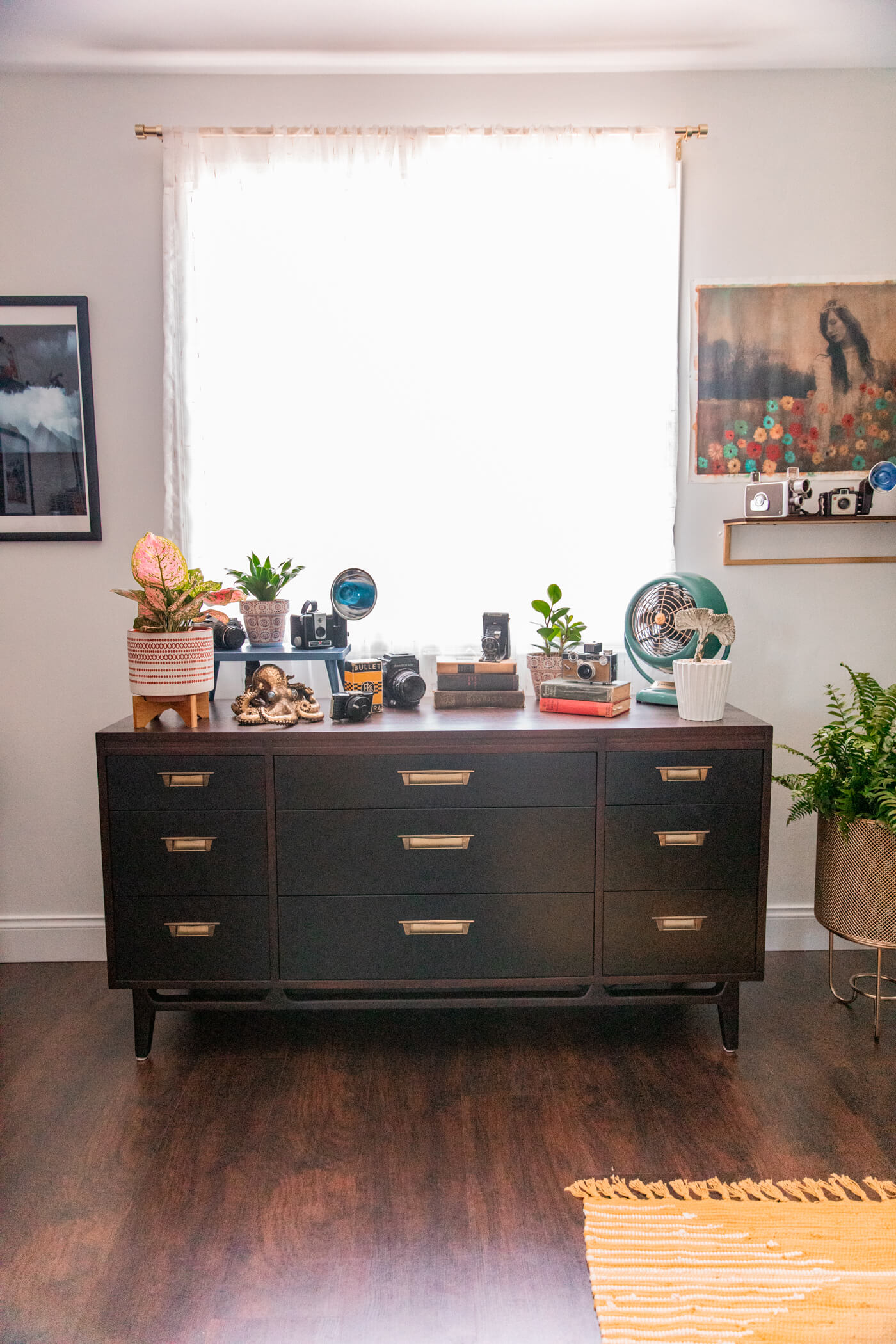 accent chest with vintage camers, indoor plants, books, and other decorations 