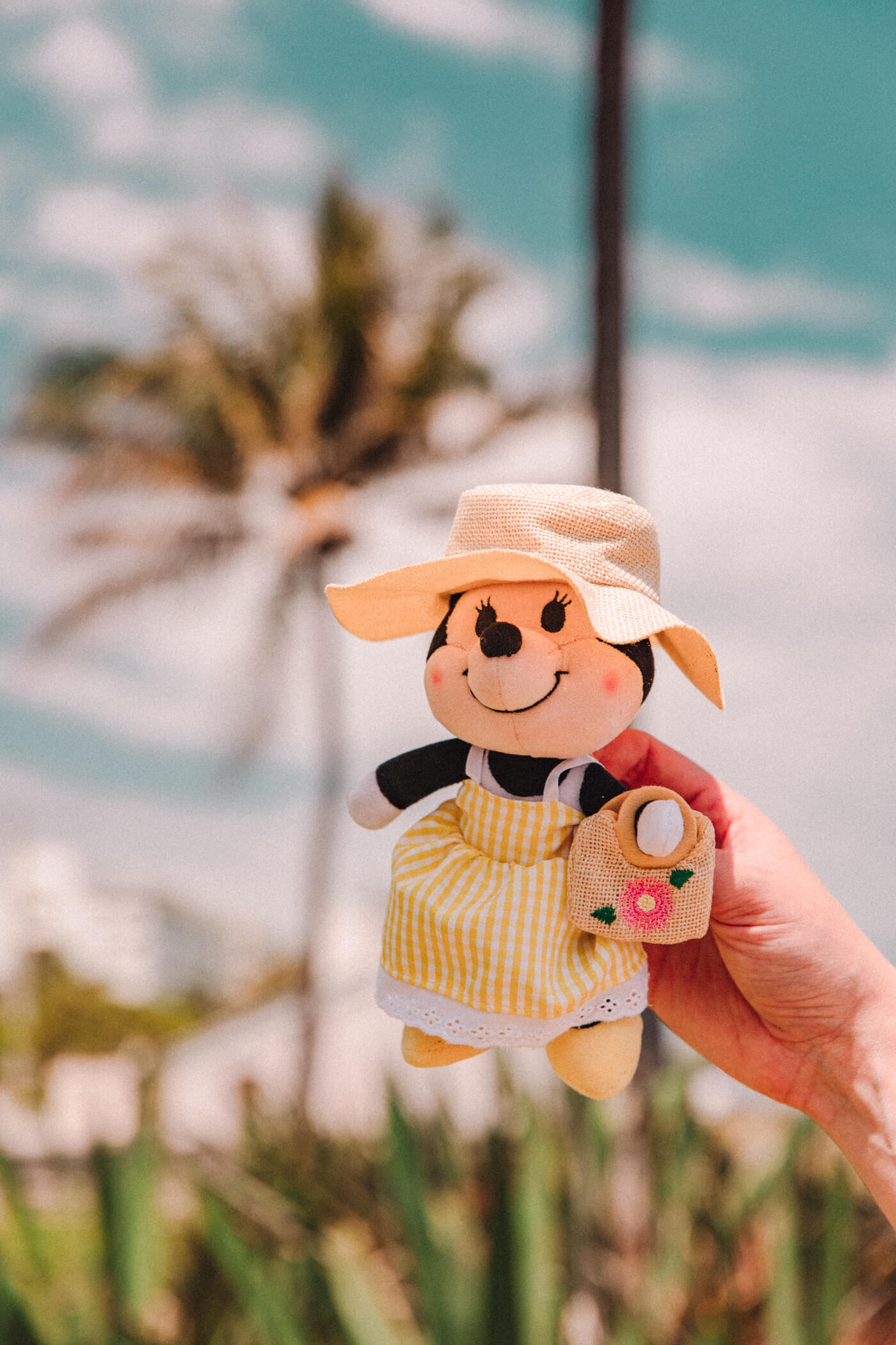 stuffed toy wearing yellow dress