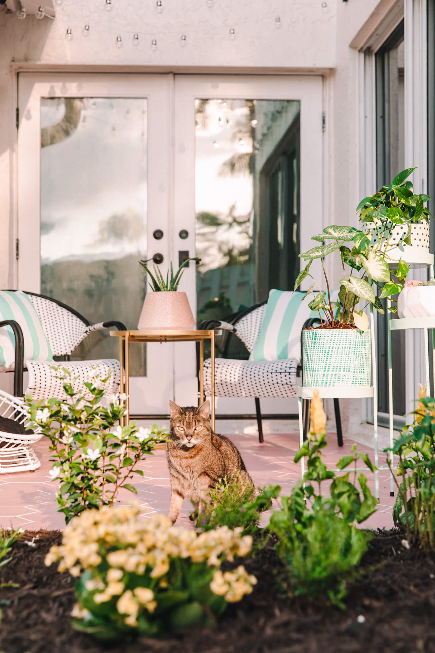 cat in the pastel patio mini makeover