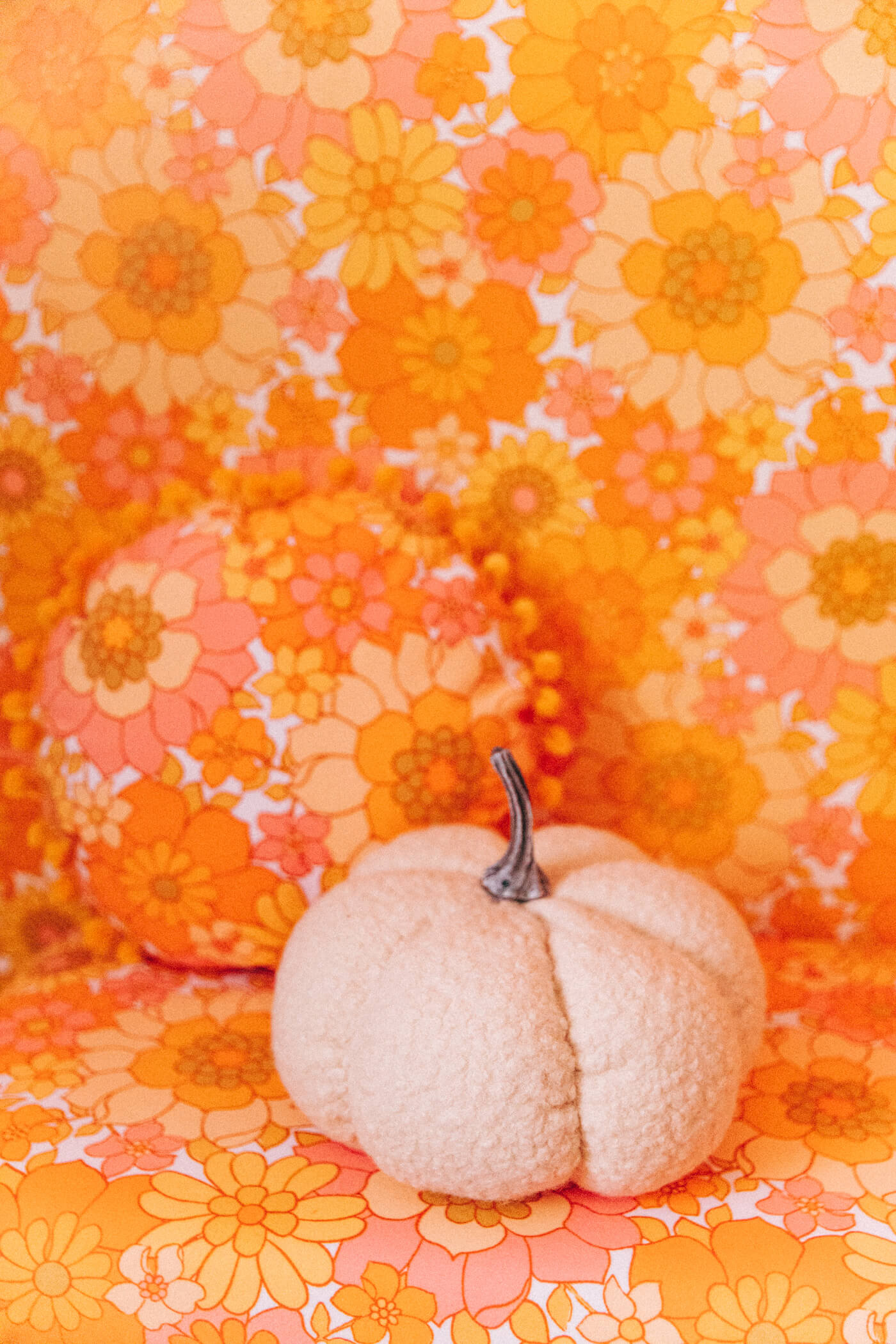 white pumpkin Cute and Colorful Halloween Decor