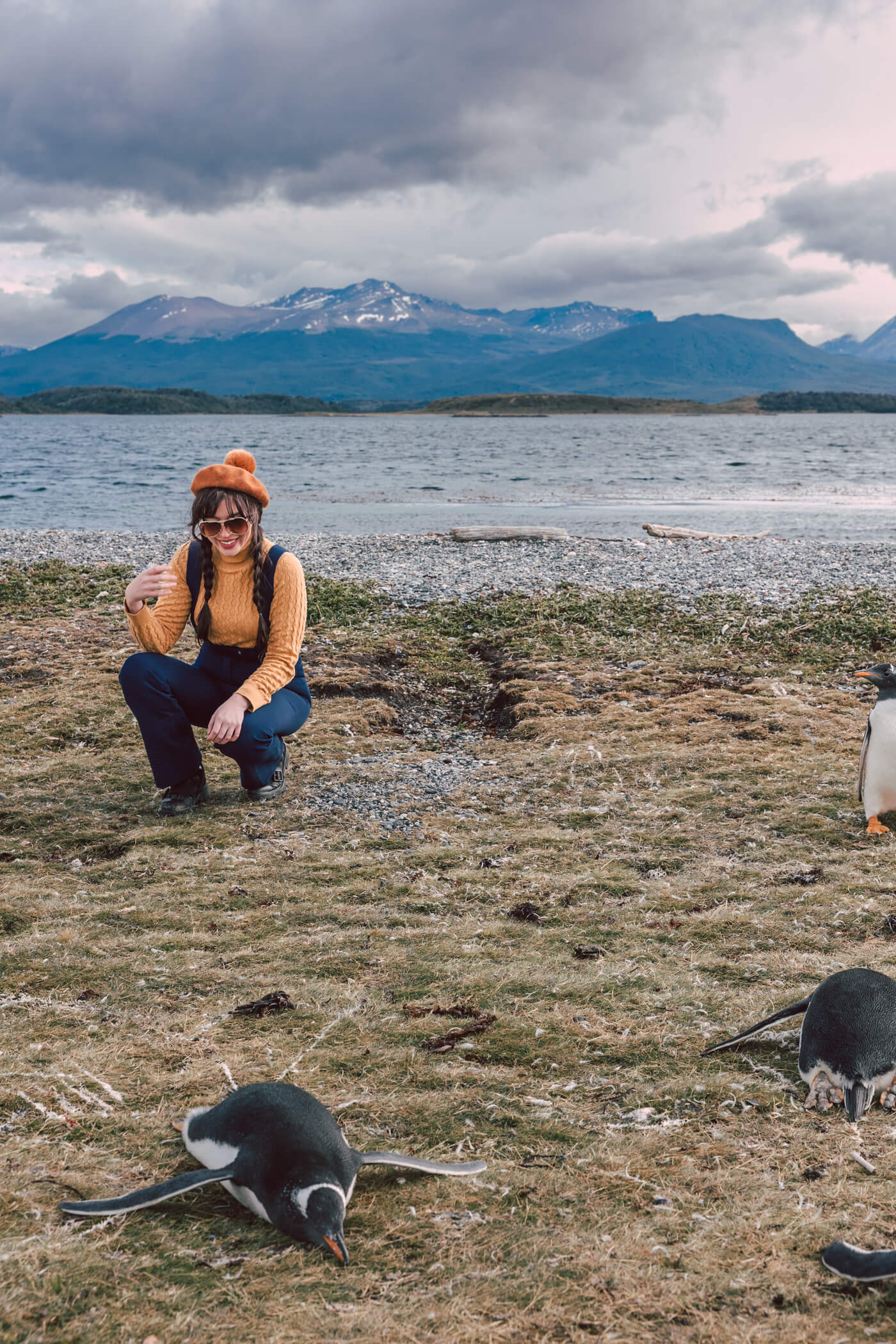 how to walk with the penguins in argentina on ushuaia piratour